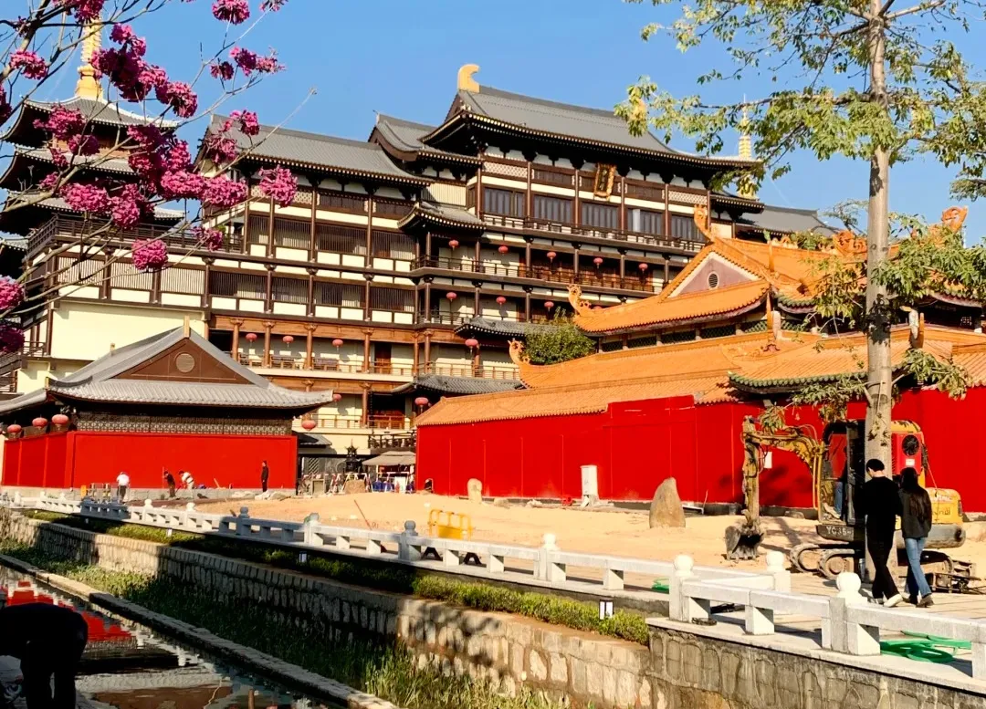 b46c4ad99dc45153137ed9f6292dd63c-sz_581165