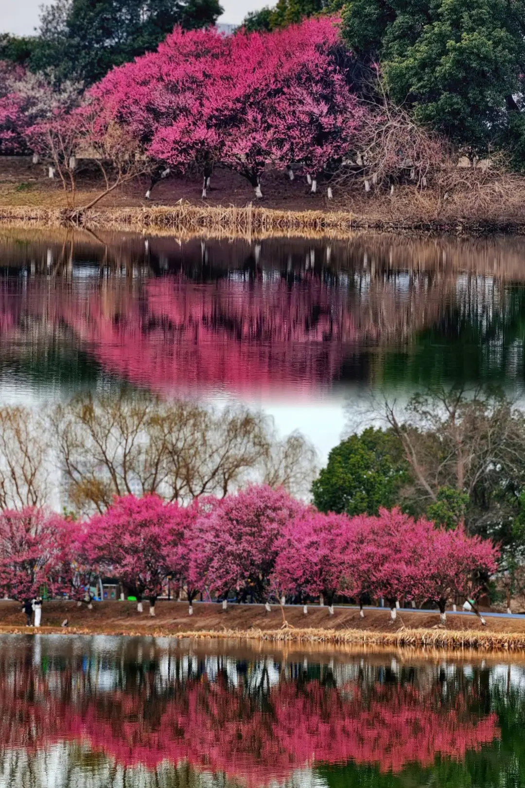 b484cf1afcee3fdf483a1040554bee83-sz_1521264