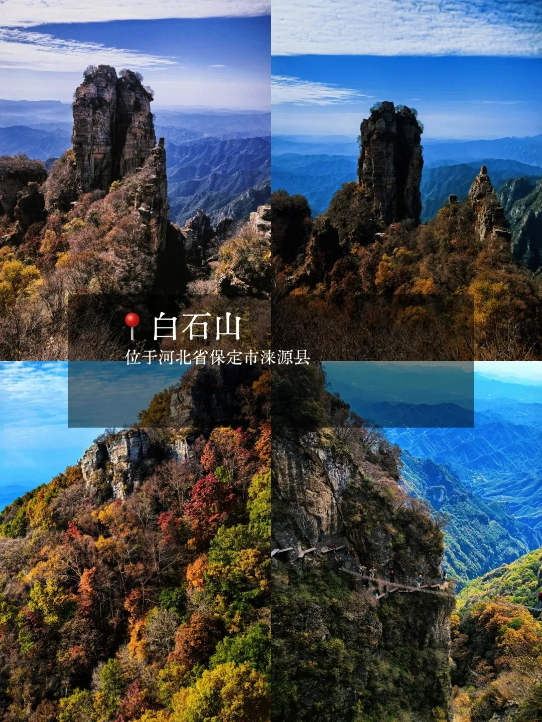 b4a7ffb7a9ffd1eb4ba1a860f649e763-sz_617581