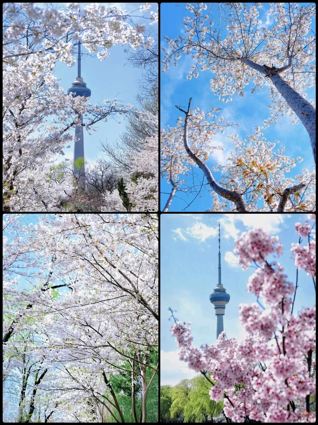 b4c6e230e6ced7a7e44e876e2862a378-sz_707598