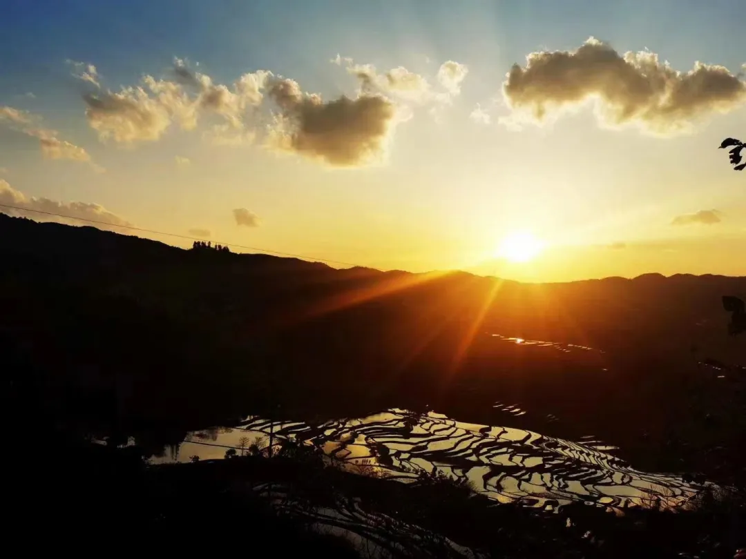 b5096869e47a7bc868e549b07021fe5c-sz_525743