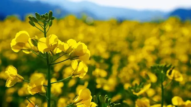 b5559f6ba233c4f3e0321ffd19512e9d-sz_30332