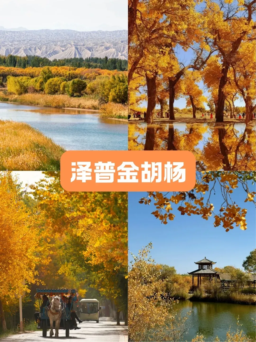 b57c00b97661e0a8266c402f9a6df18b-sz_2811918