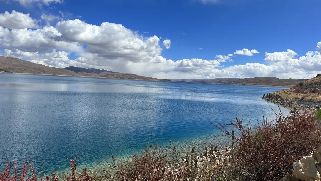 b58cf94022983a3c1a4b8436b72367f5-sz_4299207