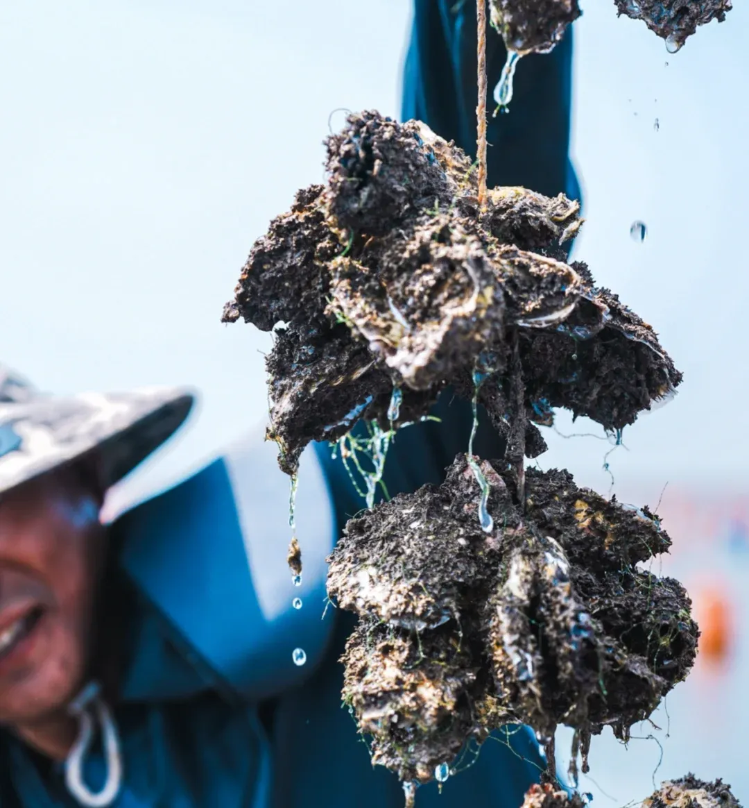 b5ac95b790f4d89fc00b44bf65132cde-sz_1822424