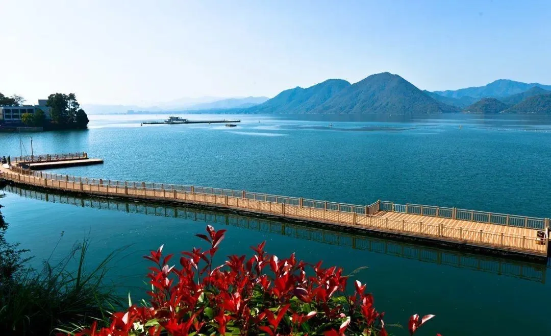 b5b76a15049e259bdf5e1590ec5b5d60-sz_178402