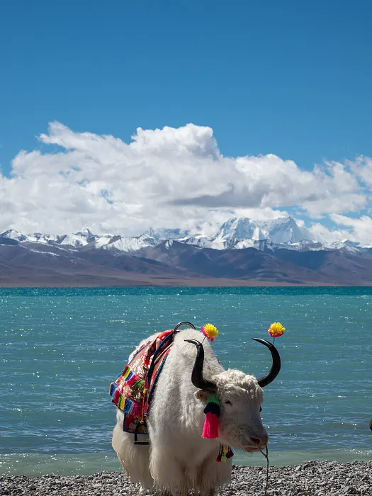 b5cbdec07e4320227f2ac4a3f57475a7-sz_623979