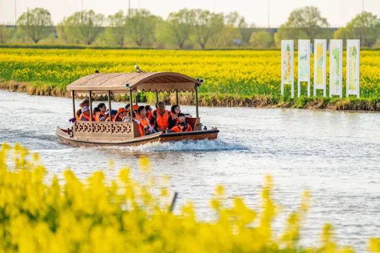 b5d15450720c3b4fb67cd60a1a9ccaf5-sz_3414288