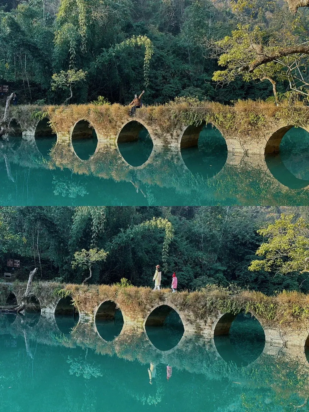 b60c4665de79351b7c2081d274bde160-sz_457656