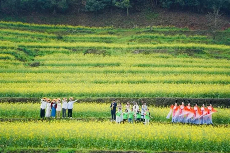 b68927a9ebed7530eda54cf7371dda3c-sz_202828