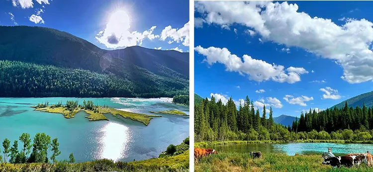 b7024e06cc24250f6626c124475f825b-sz_1860788