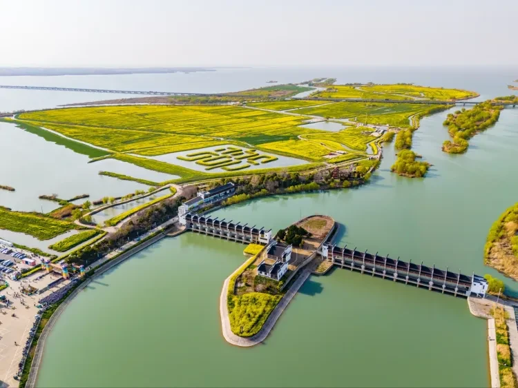 b717c0ee3d34c1f0a22ce09ca74db146-sz_2170470