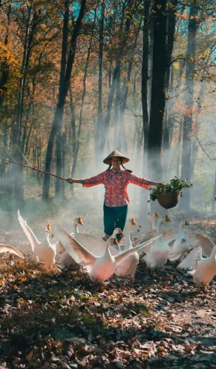 b76cb2206b0da621b96cb349b08375bb-sz_792426