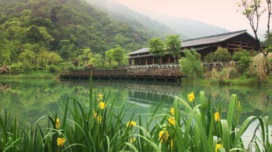 b78bbe66f1a02596623925de3373fe46-sz_335096