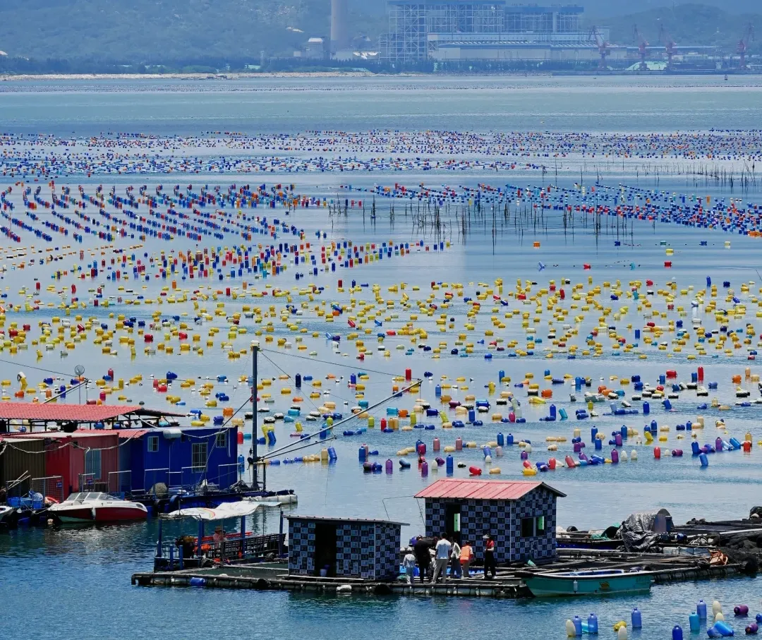 b813fd9b92b94f486d91c55b0670bc52-sz_3108548-3