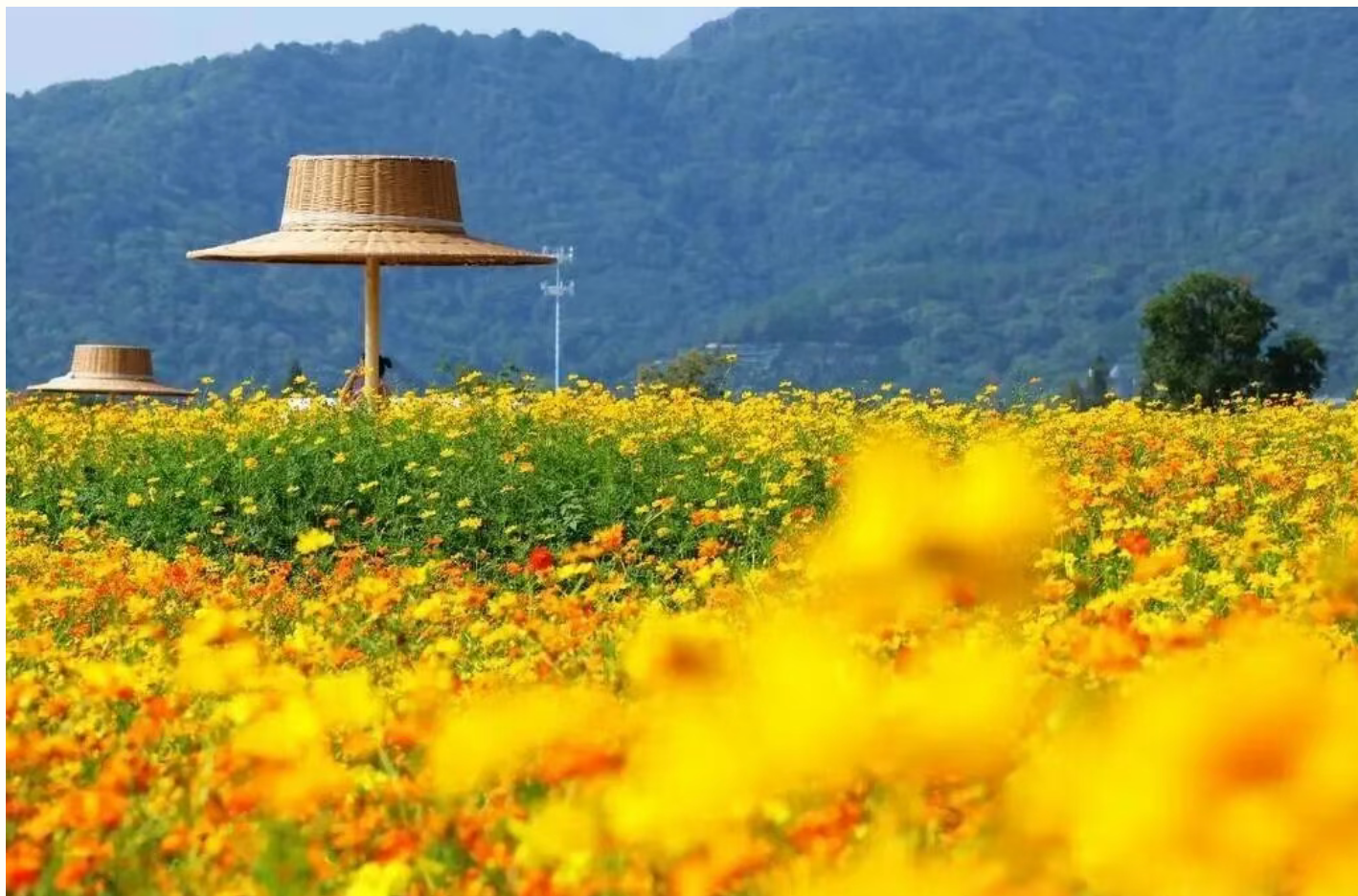 b8a756ecb49f5e618a590351d8d57ae6