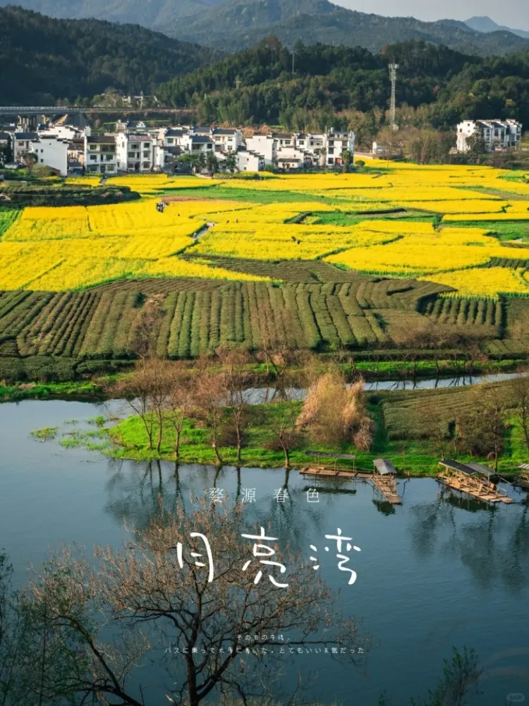 b8dd176e48f563a9a58865cdba413a52-sz_3346814