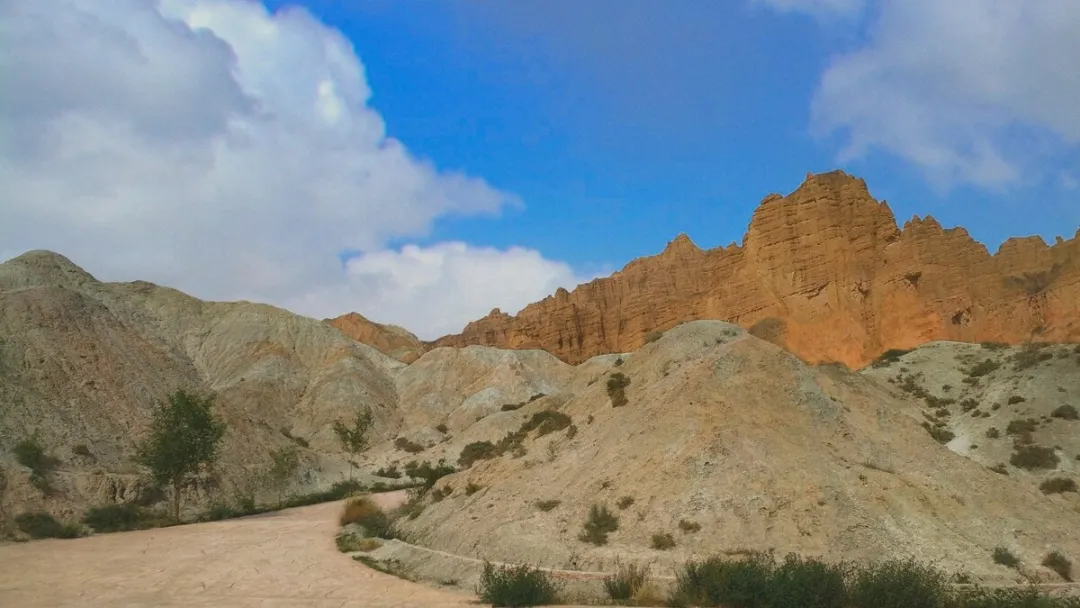 b9b6d83a726f4e3b848752fc5e69f059-sz_211761