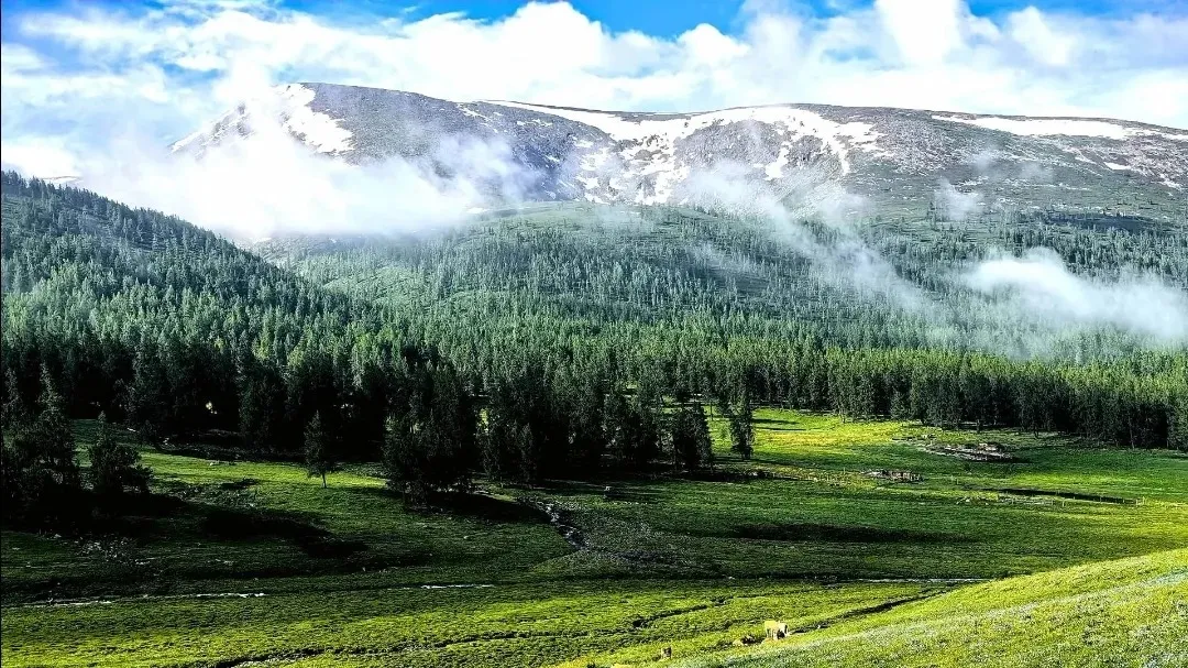 ba29751f77e977925b1298d409c6efc8-sz_311229