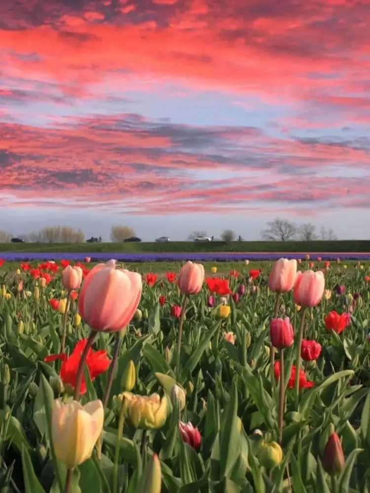 ba6cdc865079ad88737e82582499e62e-sz_109324