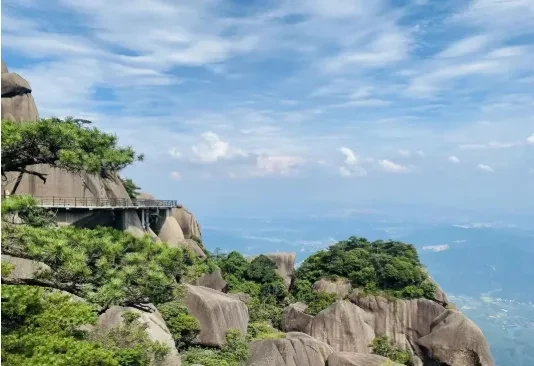 bade95cd783e62c9dc681a3effd4f47b-sz_431595