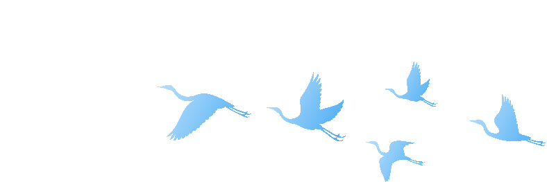 bb384a41e80b61c5b99913b2873ec8bb-sz_581967