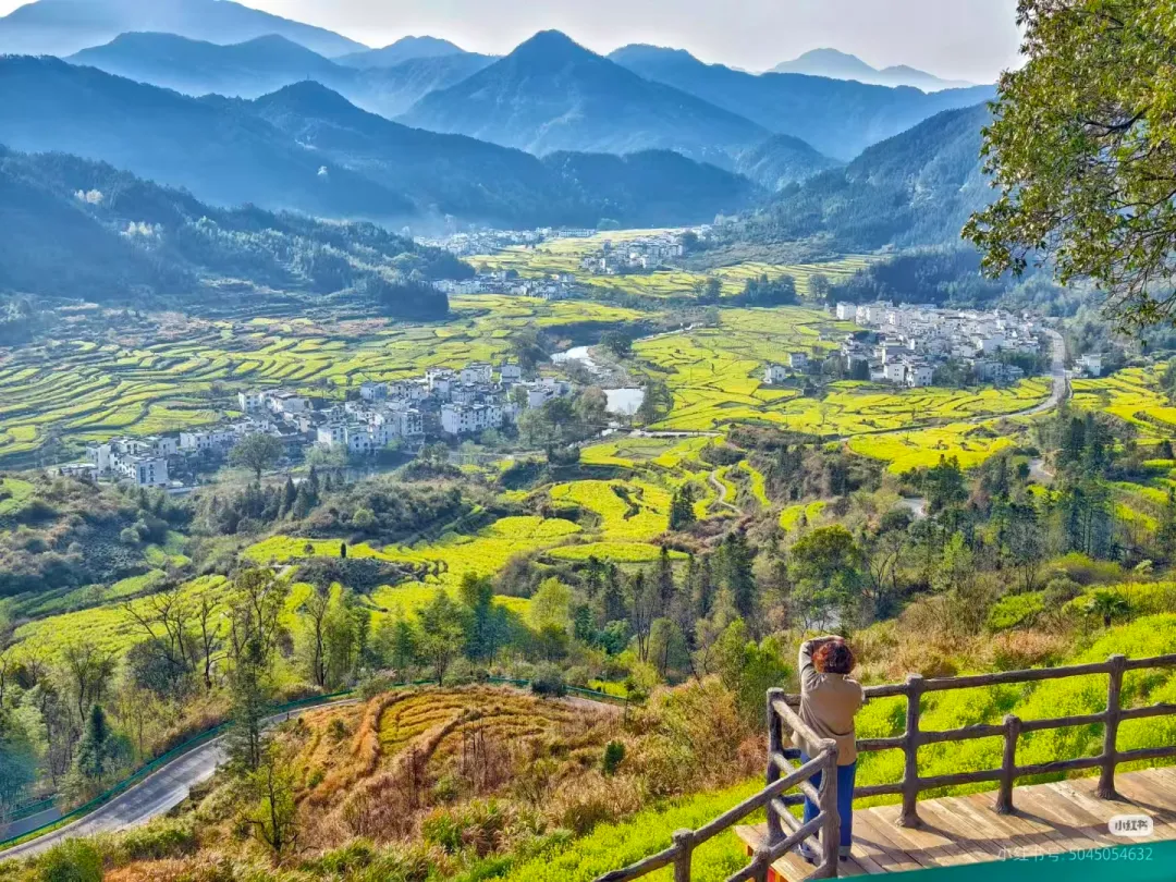 bb863ade63a9181eebce7ff5c87feefb-sz_3264976