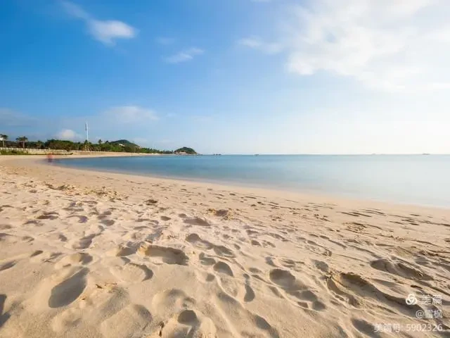 bbae32bb46d8e4191d1a316d0d3dfa99-sz_40122