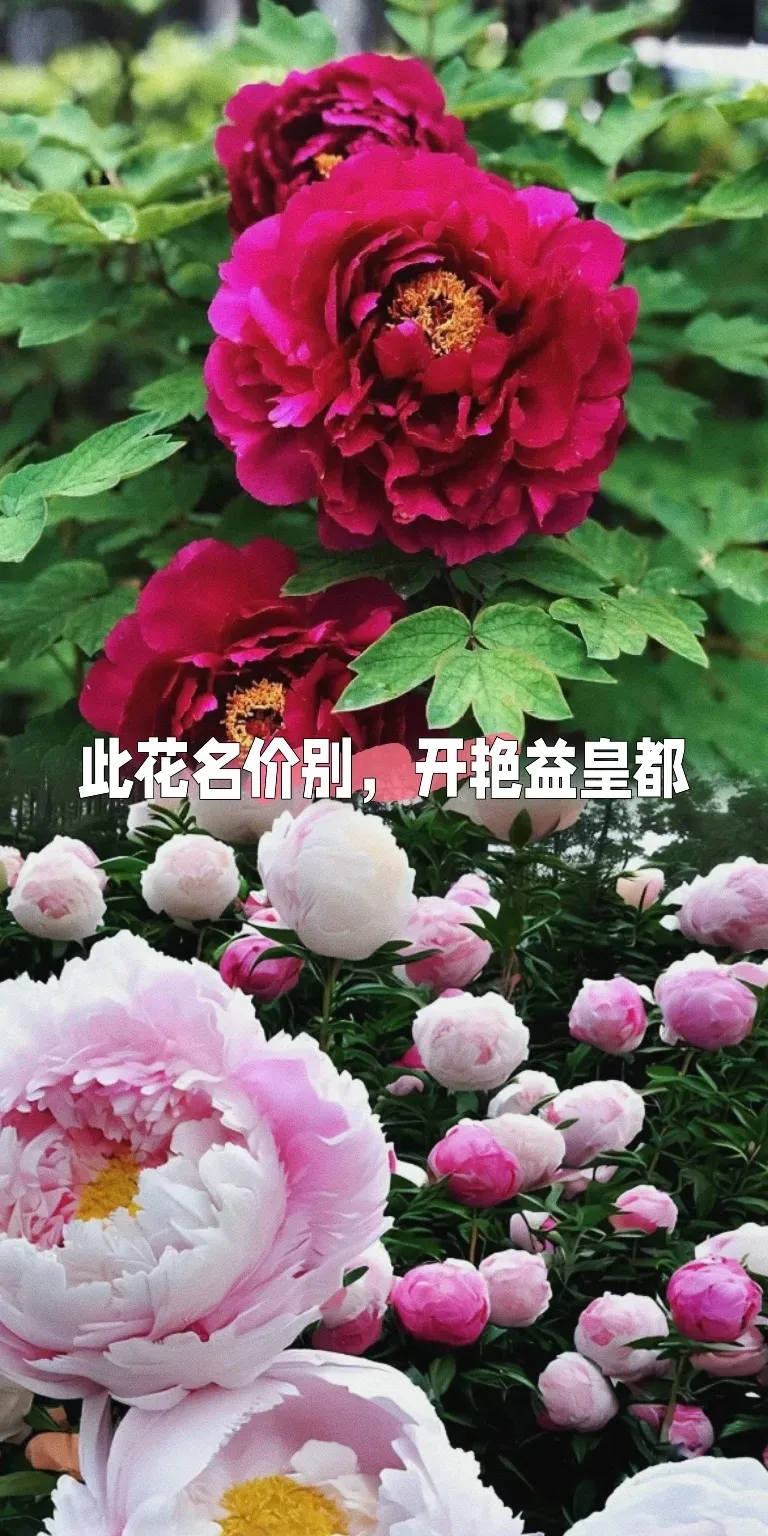 bbf82b8bbdfb5a081675300872afea98-sz_852033