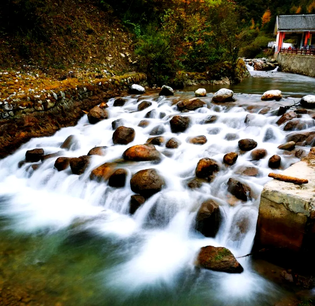 bc439f7606ece51e9cc371858321cb3d-sz_1686257-1