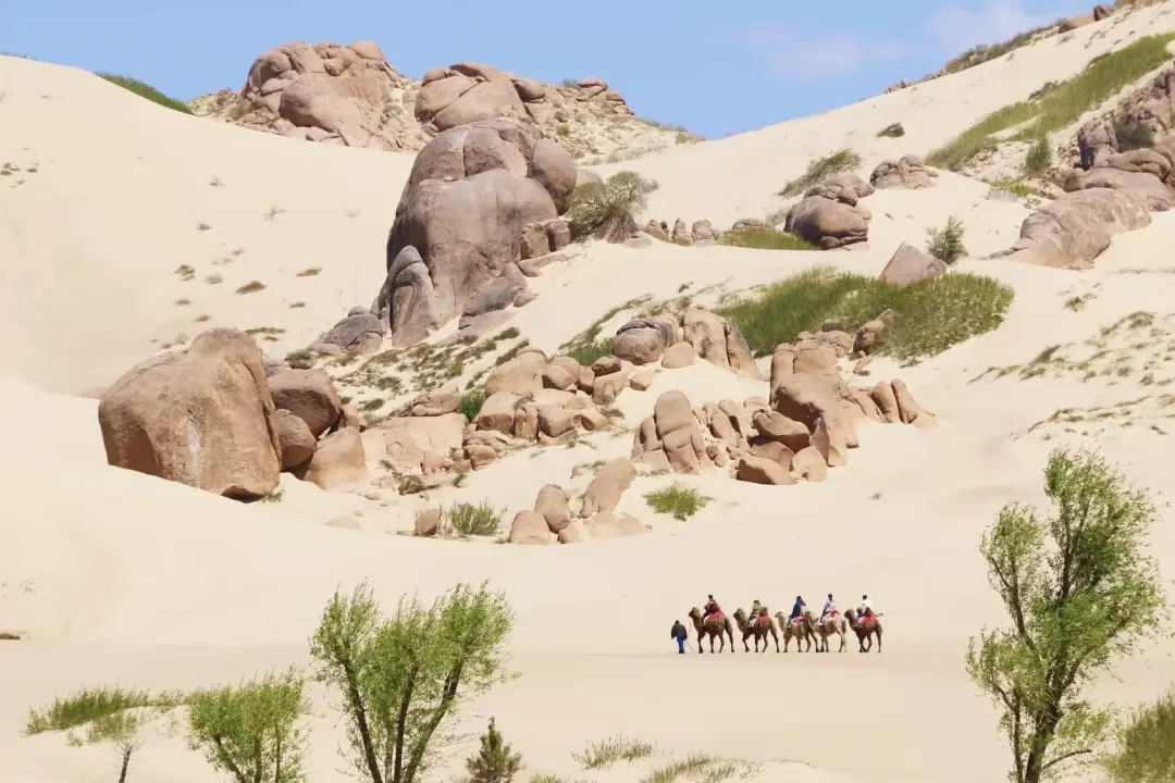 bc618a24a81066234003f628d23b8c2f-sz_288464