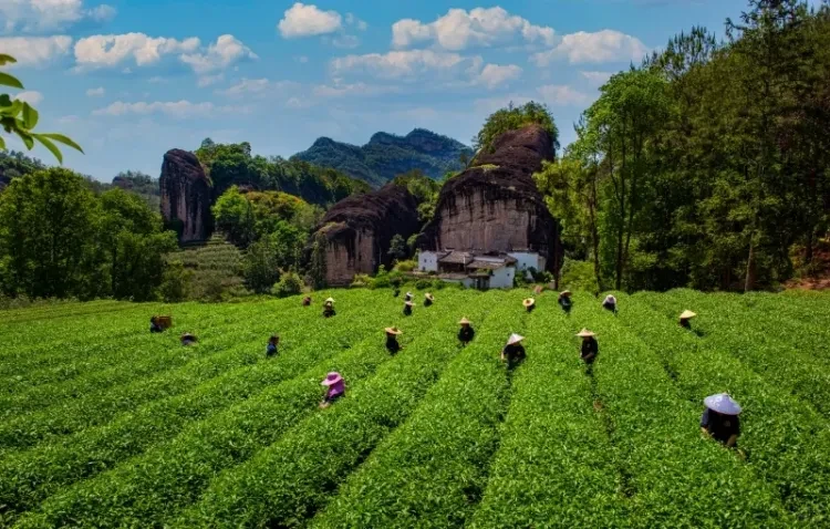 bc739d8a140d35233d4af763c6d982f1-sz_869113