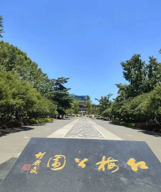 bc9d2c6dcaa86efcf7c022891482d6ed-sz_592010