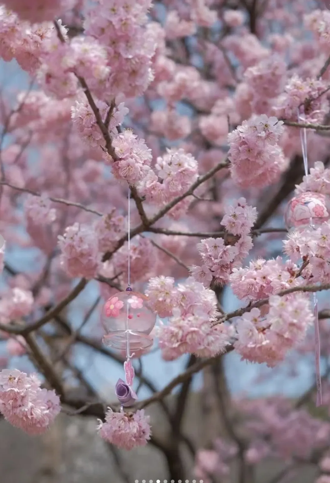 bca98e1f48a536c2747cdc4620a09fba-sz_839092-2