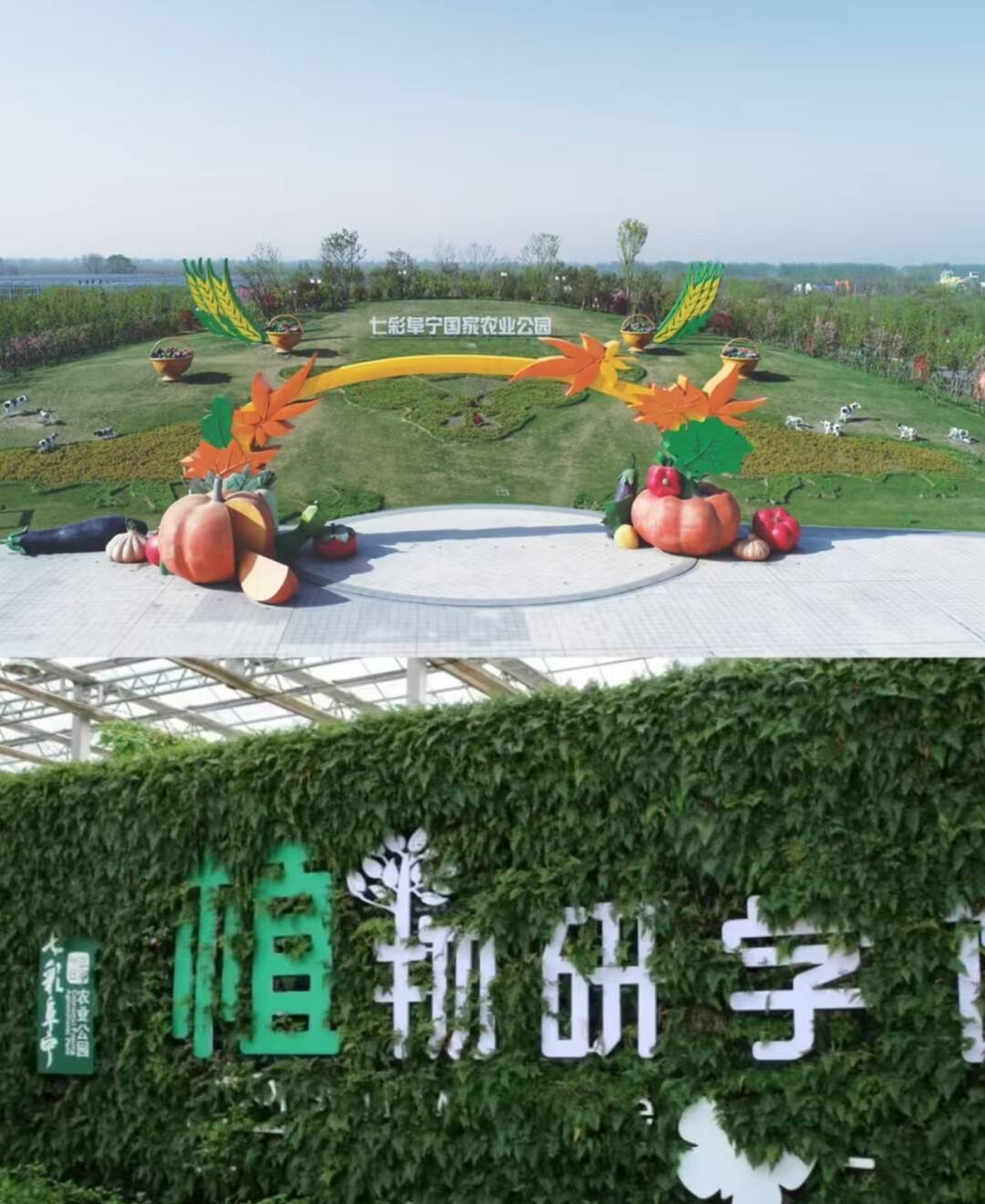 bce4ad1de7a96a8ecdc157f976f4acc1-sz_1036586-2