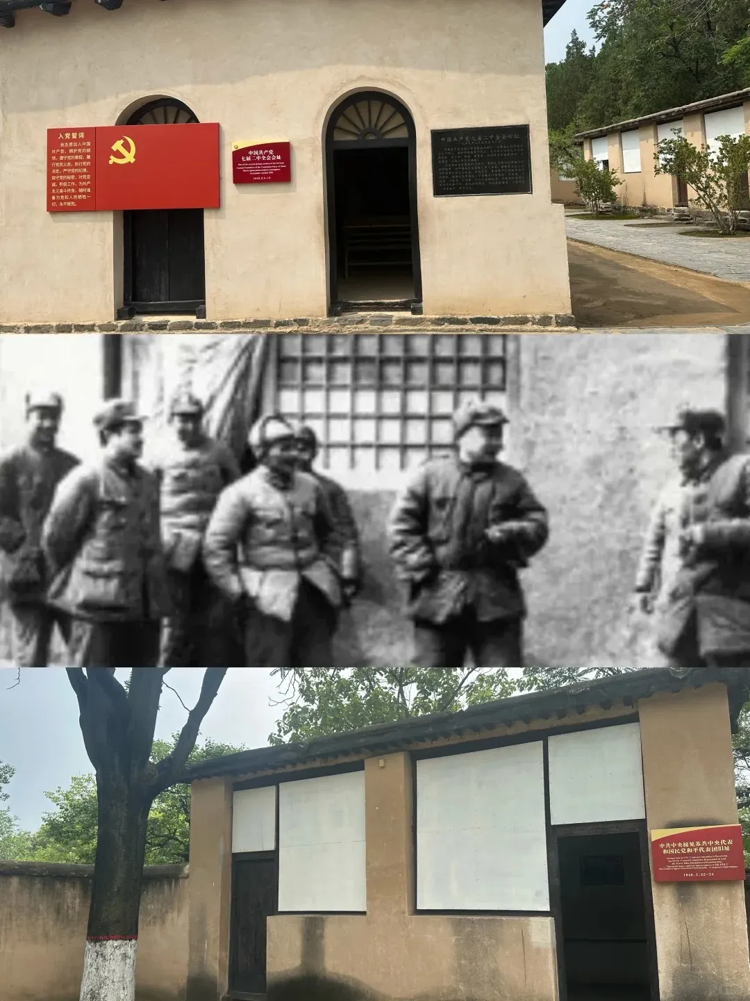 bcf90da4f945a99a23f9b079010ea11c-sz_339844