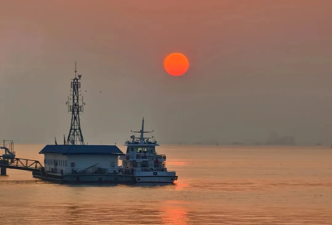 bcfdabd91406fc82351f7401ccf4bb95-sz_85173