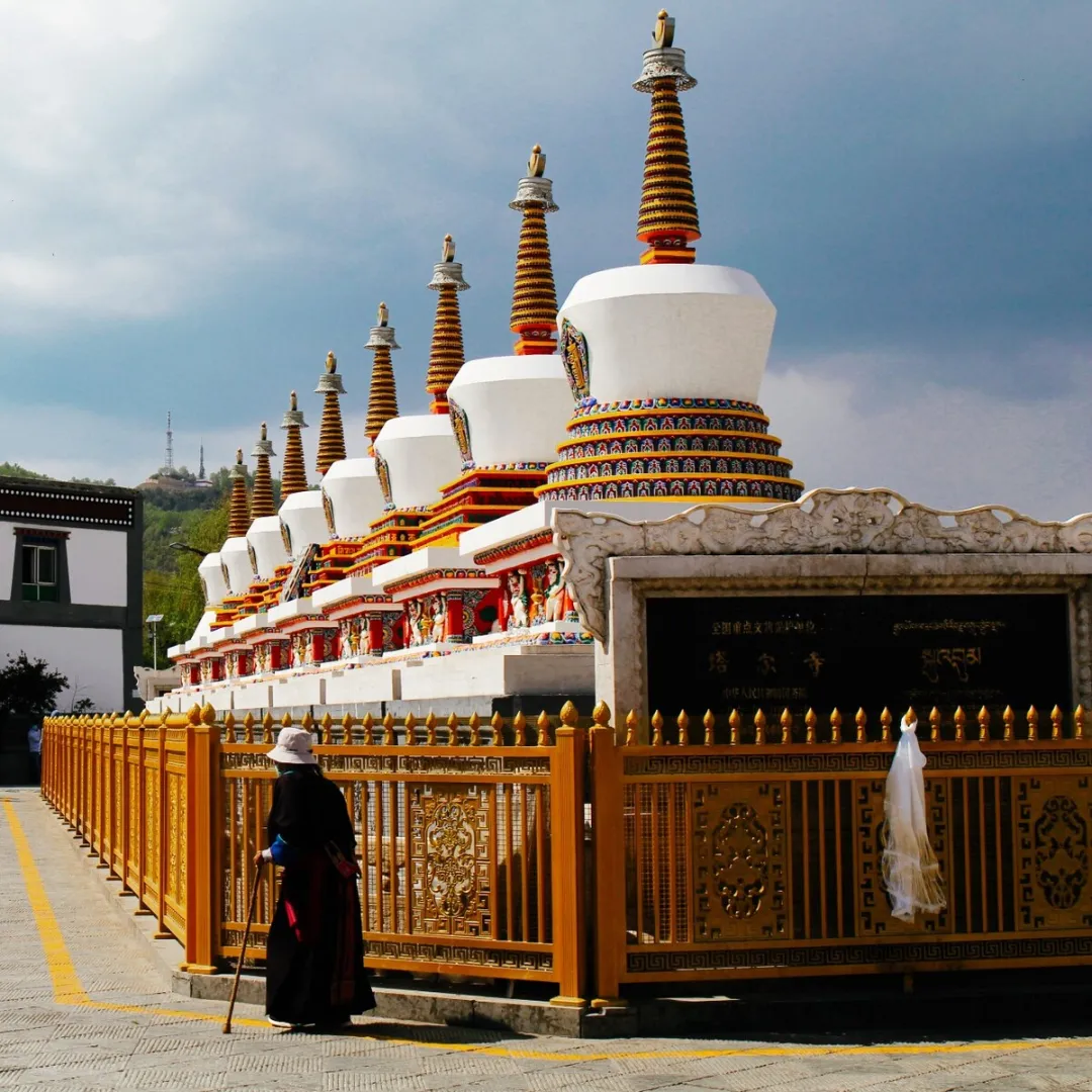 bd0970a282e6bc842250f64f0944d0bd-sz_387556