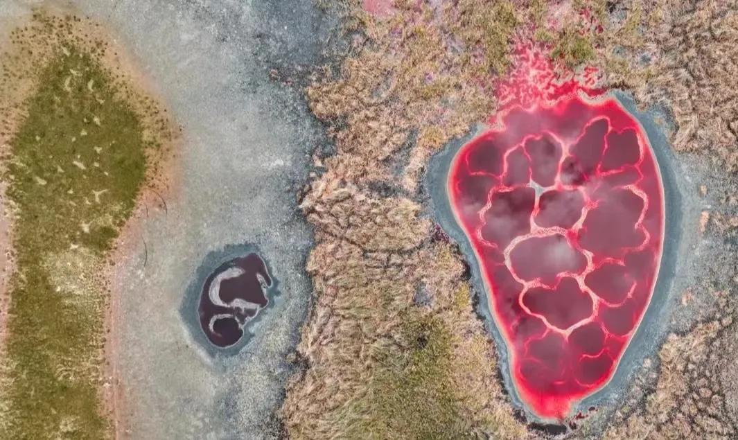 bd75d305dd0219a0cace2921512df84e-sz_319100