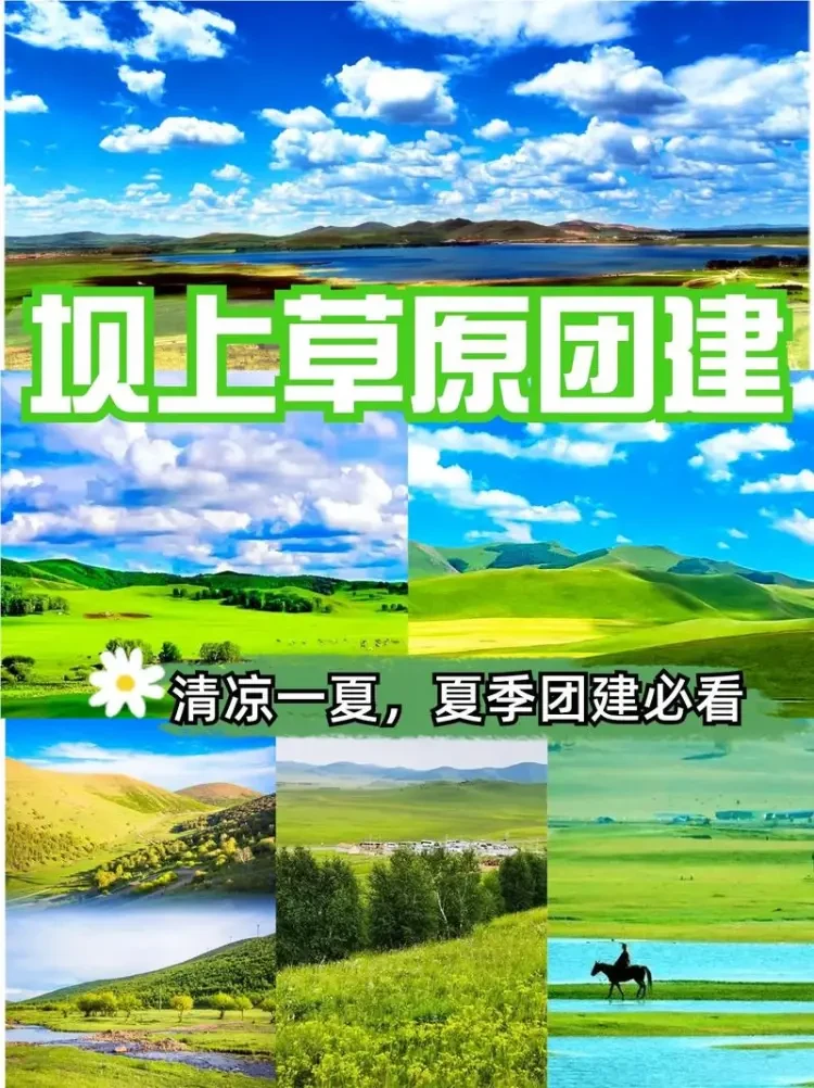 be72fcd3016effa07968022c4655f420-sz_169075