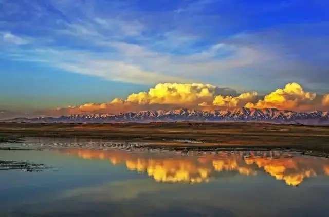 be7866519c6a47a88ee923a8fa8597c8-sz_25682-2