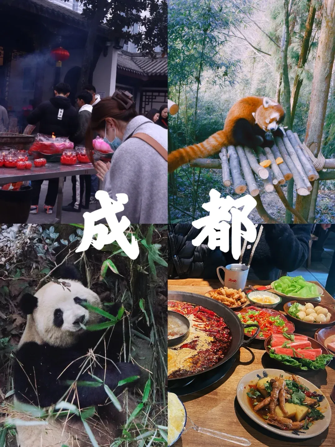 be9f115e2343c9417ec4f20be0f8e174-sz_2807225