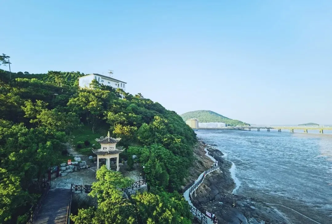 bf5ff485f37b9aa2f1828e0bd7b7f81f-sz_133503