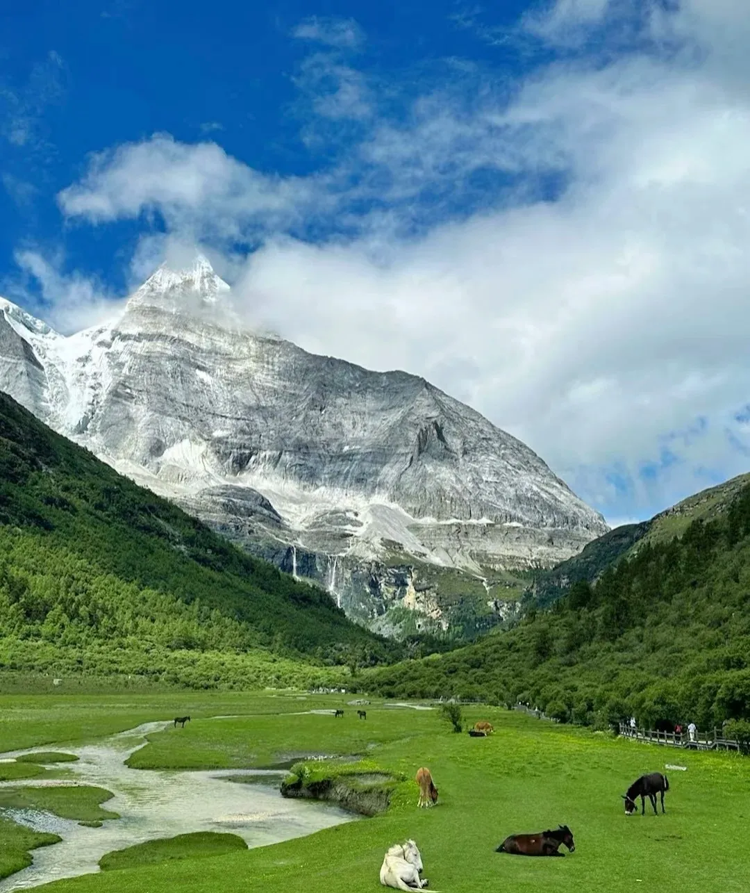 bf717d9f24405419e4cea3e59d2c9786-sz_353542