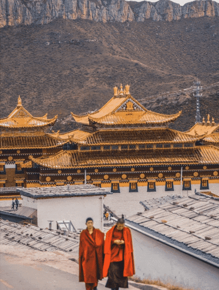 bf7fd4f8f8a995d2aa8f86d9f3d2fce3-sz_212733