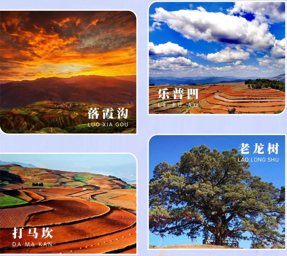 bf9486bbf172d8d9128cbf1c824a0492-sz_1982662