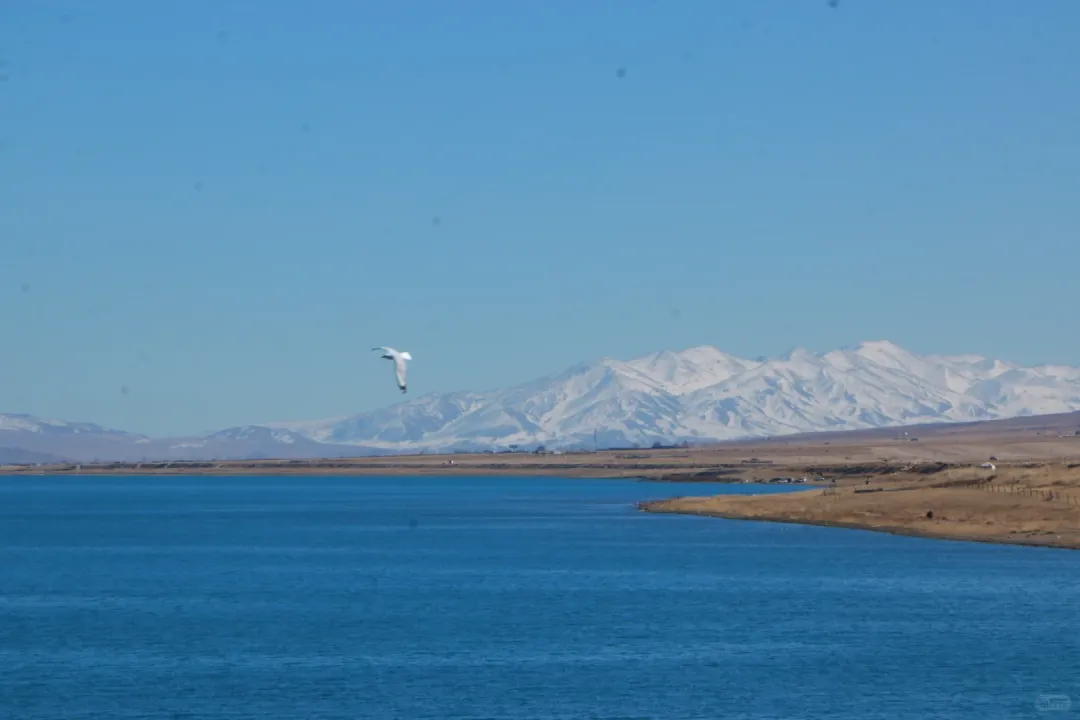 bfb2310eee07a1ca757bfd24a70b3447-sz_1254154 bfb2310eee07a1ca757bfd24a70b3447-sz_1254154