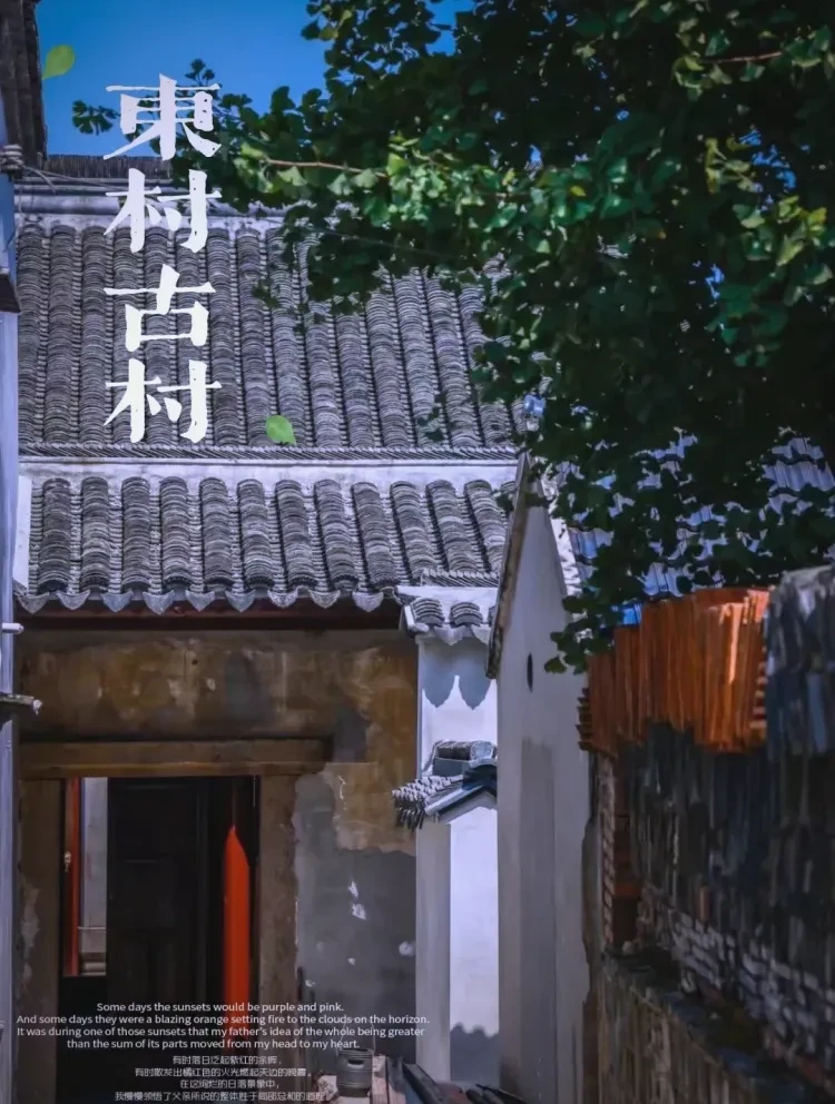 c0124031833223d38d16ee8f8546283b-sz_1945571