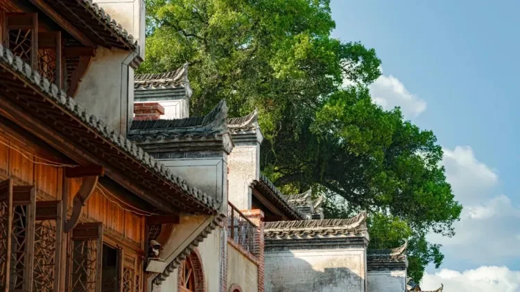 c033e5f9cb35ebe3d3807271aec78fa3-sz_163562