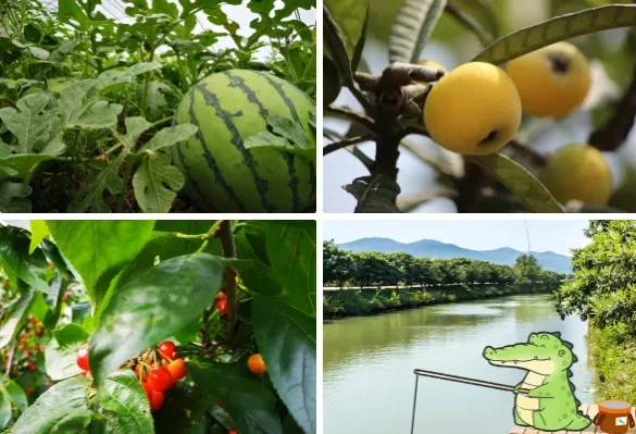 c0bb133e144206ecb07ba3724a119360-sz_595193